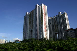 惠州市花樣年房地產開發 城市變遷的見證者與推動者